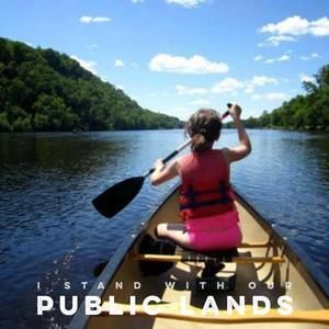 Meet your Posher, Lily